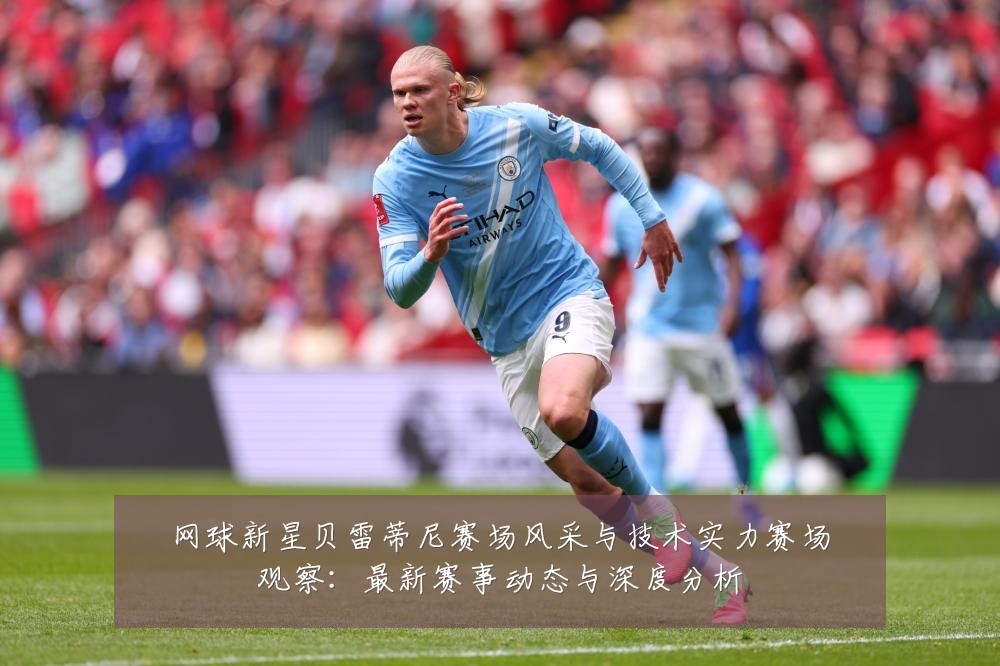 网球新星贝雷蒂尼赛场风采与技术实力赛场观察:最新赛事动态与深度分析